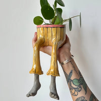 Pencil guy